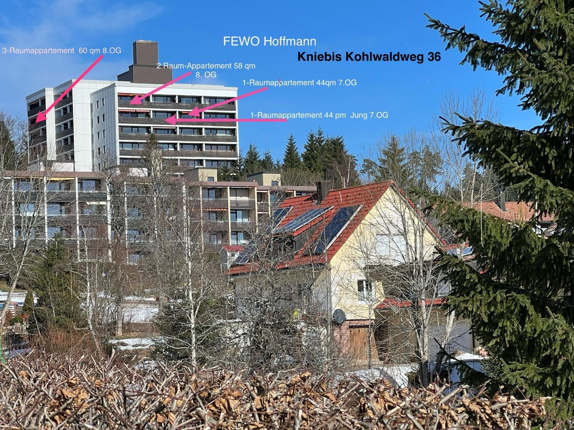 3- 2-1 - Raum - Ferienappartements Dieter Hoffmann Freudenstadt-Kniebis Beim Nationalpark Exterior foto