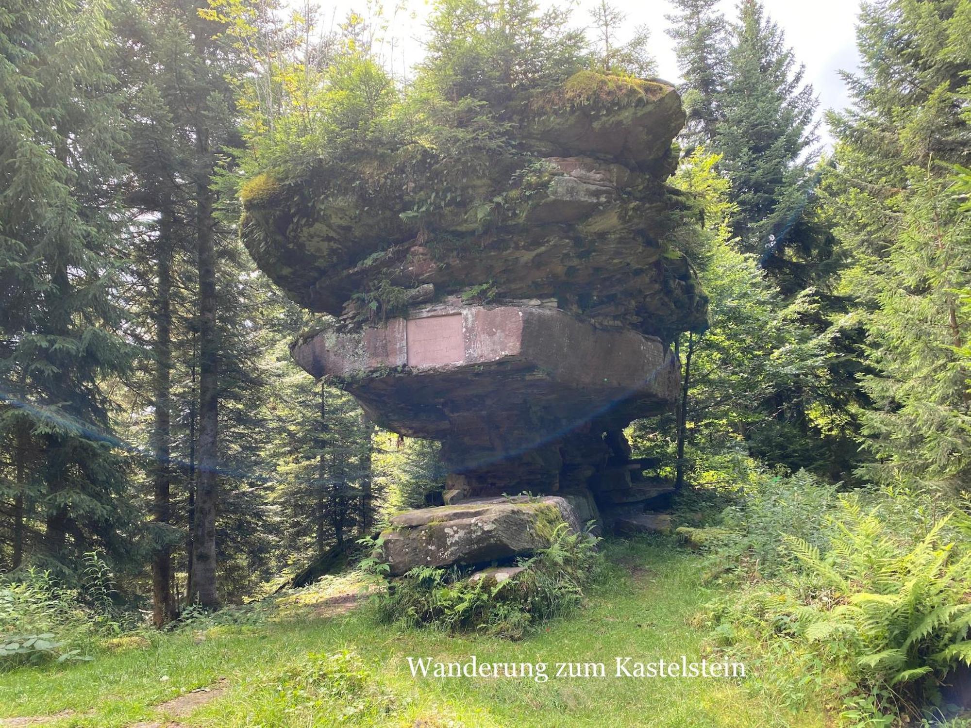 3- 2-1 - Raum - Ferienappartements Dieter Hoffmann Freudenstadt-Kniebis Beim Nationalpark Exterior foto